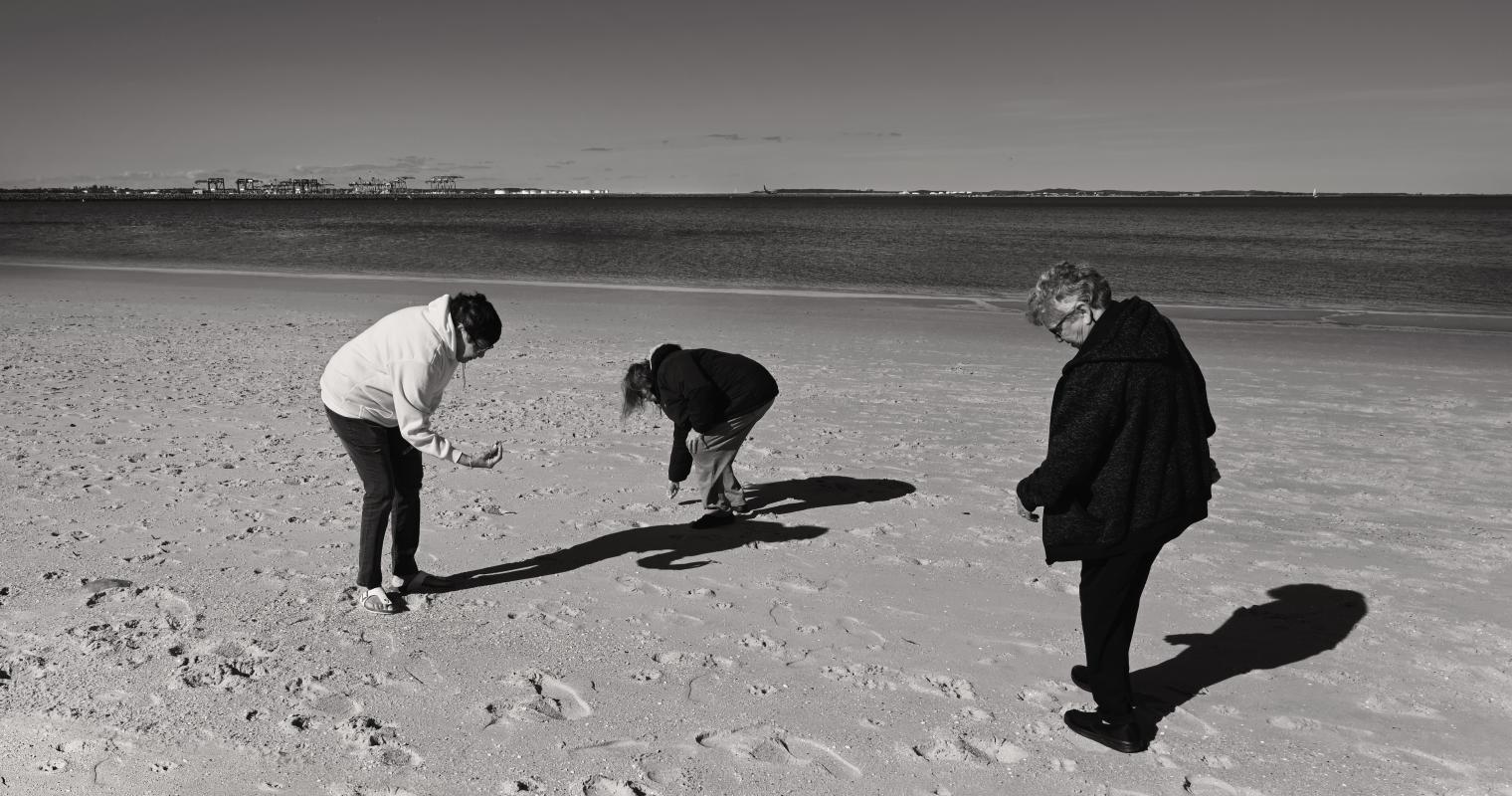 a group of people looking at shells on the beach